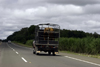 Aguadulce, Cocle province, Panama: a battered pick up truck carries a young bull -Pan-American Highway - Carretera Panamericana - photo by H.Olarte