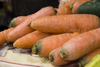 Penonom, Cocl province, Panama: carrots close up - Public Market - photo by H.Olarte
