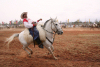 Paraguay - Luque - Departamento Central: horse rider - photo by A.Chang