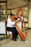 Luque, Departamento Central, Paraguay: Paraguayan harp, with 38 strings turned to one major diatonic scale - musical instrument - musician - art / Arpa paraguaya - photo by A.Chang