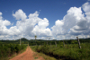 Paraguay - Departamento de Guair: dirt road leading to Cordillera del Ybytyruzu / Camino de tierra hacia la Cordillera del Ybytyruzu - photo by A.M.Chang