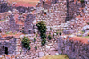 Machu Pichu, Cusco region, Peru: terracing - terraces and walls - Unesco world heritage site - photo by J.Fekete