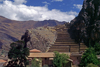 Ollantaytambo, Cuzco region, Peru: the magnificent ruins of Ollantaytambo are nestled in a defensable valley in the Andes Mountains, where Manco Inca deafeated Hernando Pizarro in 1536 - photo by C.Lovell