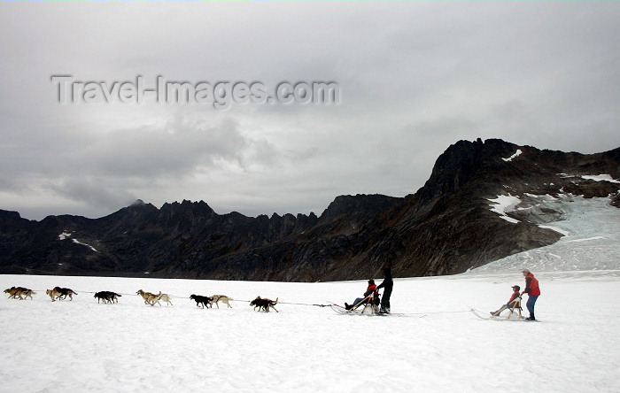 alaska102: Alaska - Skagway: Denver Glacier - dogsled passing (photo by Robert Ziff) - (c) Travel-Images.com - Stock Photography agency - Image Bank