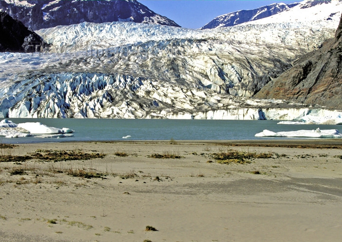 alaska108: Alaska - Juneau:Menden Hall glacier (photo by A.Walkinshaw) - (c) Travel-Images.com - Stock Photography agency - Image Bank