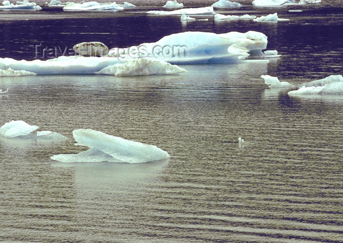 alaska112: Alaska - Juneau: ice blocks (photo by A.Walkinshaw) - (c) Travel-Images.com - Stock Photography agency - Image Bank