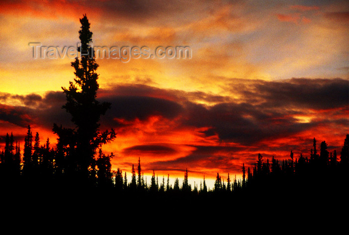 alaska135: Brooks range, Alaska: a tornado in at sunset on a Brooks range forest - photo by E.Petitalot - (c) Travel-Images.com - Stock Photography agency - Image Bank