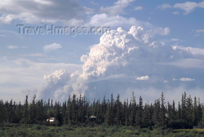 alaska144: Brooks range, Alaska: forest fire near Fort Yukon village along the Yukon river - photo by E.Petitalot - (c) Travel-Images.com - Stock Photography agency - Image Bank