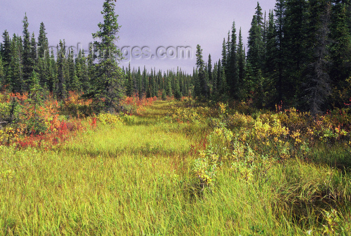 alaska150: Brooks range, Alaska: nice colours of autumn - photo by E.Petitalot - (c) Travel-Images.com - Stock Photography agency - Image Bank