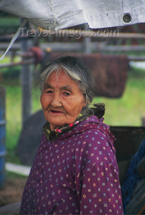 alaska151: Alaska - North - Brooks range - old Athabascan woman in Ambler village - photo by E.Petitalot - (c) Travel-Images.com - Stock Photography agency - Image Bank