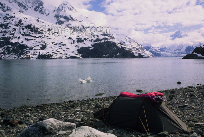 alaska160: Alaska - Glacier bay - bivouac on a bank of Johns Hopkins inlet - photo by E.Petitalot - (c) Travel-Images.com - Stock Photography agency - Image Bank