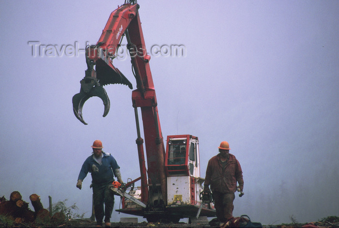 alaska180: Alaska - Prince of Wales island: forestry workers and machinery - photo by E.Petitalot - (c) Travel-Images.com - Stock Photography agency - Image Bank