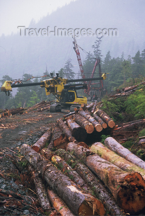 alaska185: Alaska - Prince of Wales island: machine for cutting trees - photo by E.Petitalot - (c) Travel-Images.com - Stock Photography agency - Image Bank