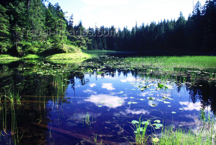 alaska190: Brooks range, Alaska: small lake - photo by E.Petitalot - (c) Travel-Images.com - Stock Photography agency - Image Bank