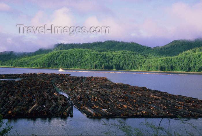 alaska197: Alaska - Prince of Wales island: tug-boat pulls thousands of trunks to a factory - photo by E.Petitalot - (c) Travel-Images.com - Stock Photography agency - Image Bank