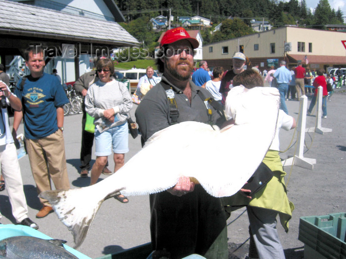 alaska204: Wrangell , Wrangell Island, Alexander Archipelago, Alaska: Dons Halibut - Wrangell Harbor - photo by R.Eime - (c) Travel-Images.com - Stock Photography agency - Image Bank