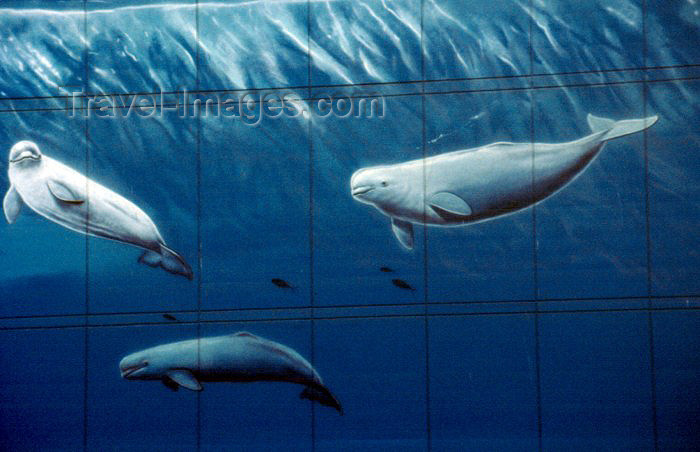 alaska48: Alaska - Anchorage: whales mural, the 'whaling wall', by Robert Wyland - east side of Town Square - WW54 'Alaska’s Marine Life' - J.C. Penneys - photo by F.Rigaud - (c) Travel-Images.com - Stock Photography agency - Image Bank