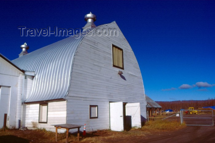 alaska5: USA - Alaska - Fairbanks / FAI: dairy farm - agriculture - barn - photo by F.Rigaud - (c) Travel-Images.com - Stock Photography agency - Image Bank