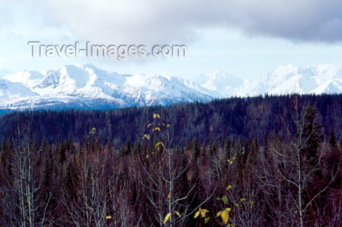 alaska52: Alaska - Anchorage: mountains and forest - Chugach Mountains - photo by F.Rigaud - (c) Travel-Images.com - Stock Photography agency - Image Bank