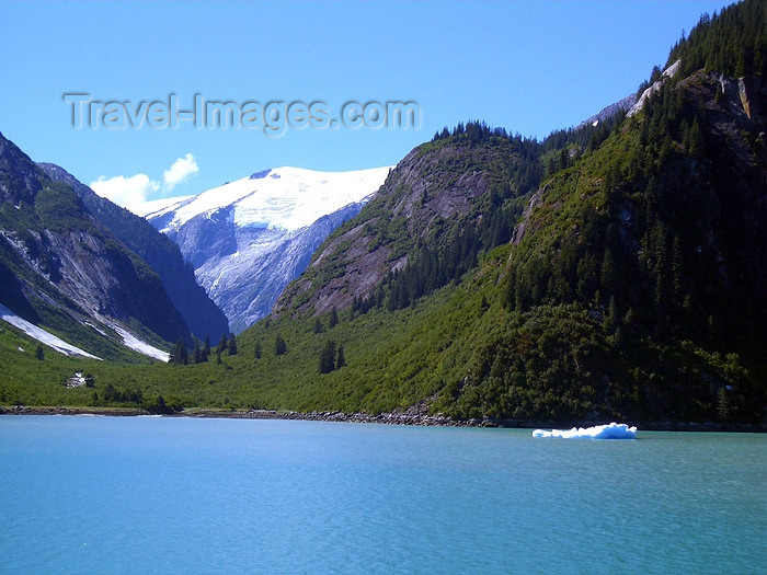 alaska65: Alaska's Inside Passage - Tracy Arm Fjord: slopes (photo by Robert Ziff) - (c) Travel-Images.com - Stock Photography agency - Image Bank