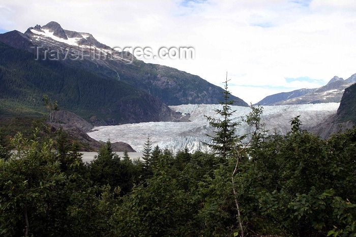 alaska78: Alaska - Juneau: Mendenhall Glacier (photo by Robert Ziff) - (c) Travel-Images.com - Stock Photography agency - Image Bank