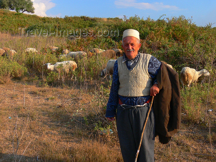 albania103: Apollonia, Fier County, Albania: old shepherd from the village of Pojan - photo by J.Kaman - (c) Travel-Images.com - Stock Photography agency - Image Bank