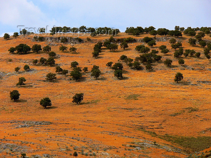 albania142: Vlorë county, Albania: landscape between Dhermi and Qeparo - photo by J.Kaman - (c) Travel-Images.com - Stock Photography agency - Image Bank