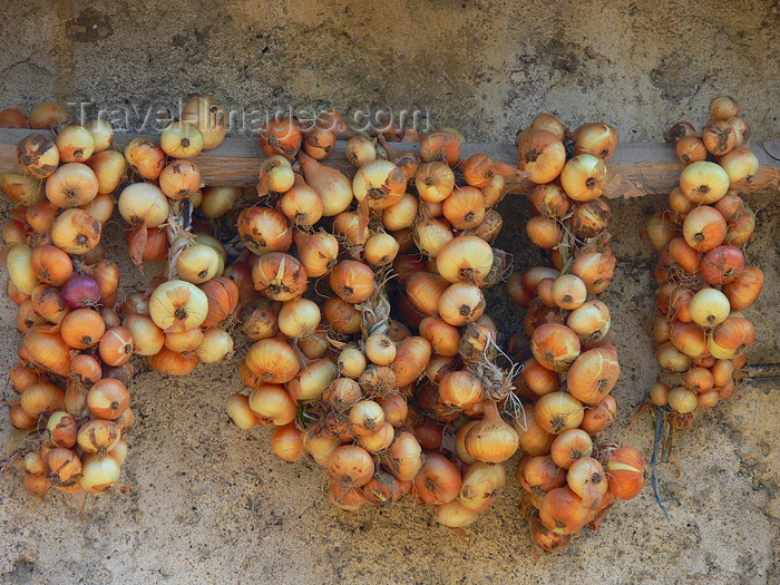 albania160: Kamnik, Kolonjë, Korçë county, Albania: onion braids on a wall - photo by J.Kaman - (c) Travel-Images.com - Stock Photography agency - Image Bank