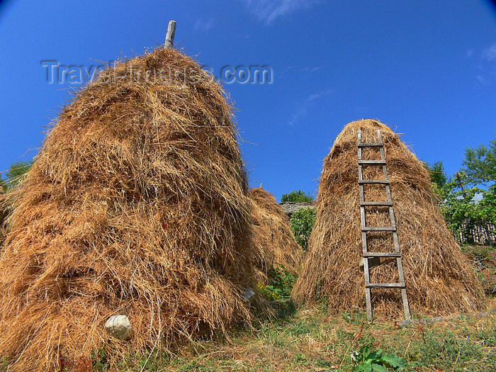 albania163: Kamnik, Kolonjë, Korçë county, Albania: haystacks and ladder - photo by J.Kaman - (c) Travel-Images.com - Stock Photography agency - Image Bank