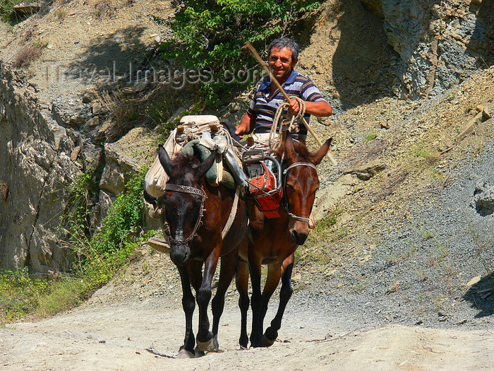 albania167: Drenove National Park, Korçë county, Albania: mule caravan - photo by J.Kaman - (c) Travel-Images.com - Stock Photography agency - Image Bank