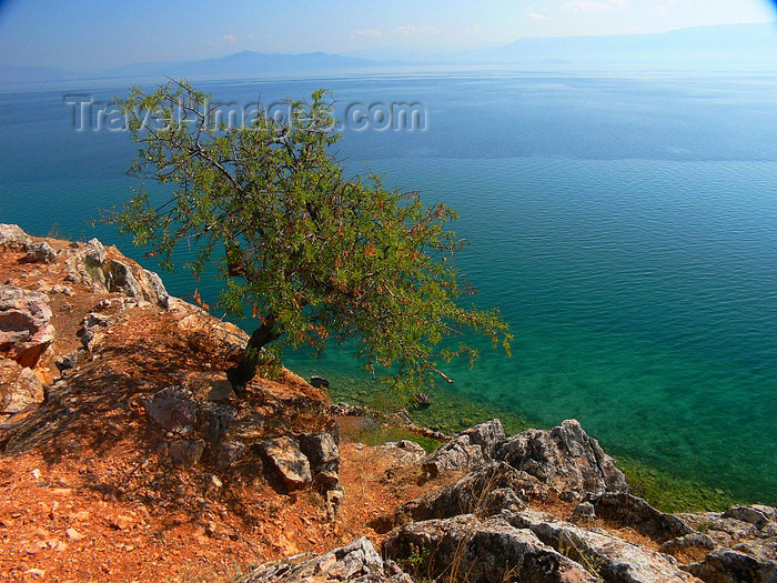 albania178: Lin, Pogradec, Korçë county, Albania: view over lake Ohrid - photo by J.Kaman - (c) Travel-Images.com - Stock Photography agency - Image Bank