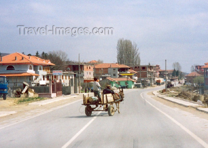 albania28: Albania / Shqiperia - Bilisht, Korçë county: life in the fast lane - cart in the middle of the road - photo by M.Torres - (c) Travel-Images.com - Stock Photography agency - Image Bank