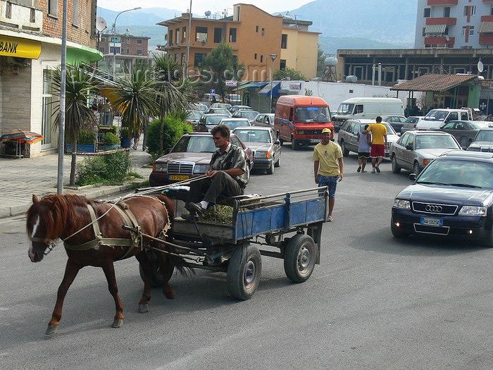 albania35: Kruje, Durres County, Albania: albanian transport and traffic - horse cart in the city - photo by J.Kaman - (c) Travel-Images.com - Stock Photography agency - Image Bank