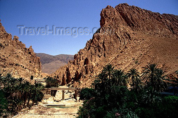 algeria10: Algeria / Algérie - El Kantara: the oasis and the railway bridge - photo by C.Boutabba - l'oasis et le pont ferroviaire - (c) Travel-Images.com - Stock Photography agency - Image Bank