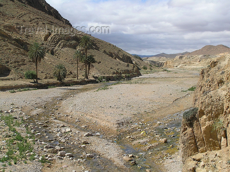 algeria109: Algeria / Algerie - Bou Saada: landscape near Ferrero - photo by J.Kaman - paysage près de Ferrero - (c) Travel-Images.com - Stock Photography agency - Image Bank