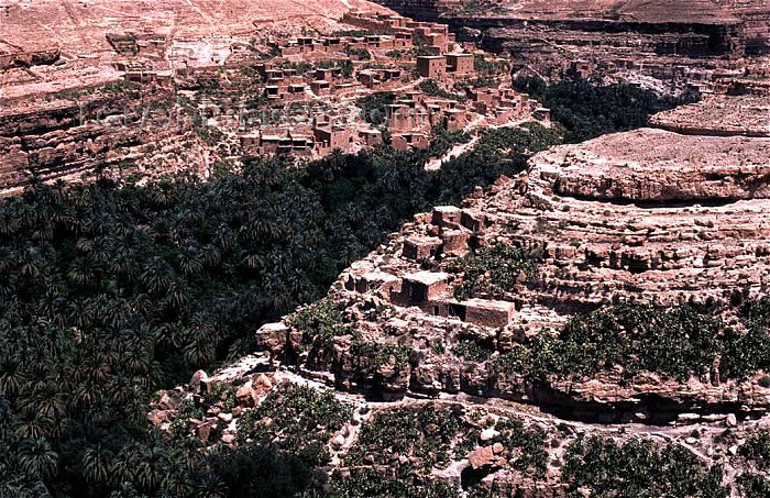 algeria11: Algeria / Algérie - Roufi / Rhoufi: oasis in a canyon - balcons de Roufi - photo by C.Boutabba - oasis dans une gorge - (c) Travel-Images.com - Stock Photography agency - Image Bank