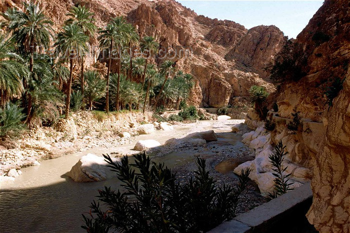 algeria12: Algeria / Algérie - M'Chounech: river valley - photo by C.Boutabba - vallée de fleuve - (c) Travel-Images.com - Stock Photography agency - Image Bank