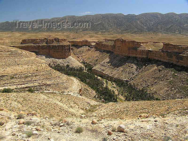 algeria128: Algeria / Algerie - Gorges de Tighanimine - Oued El Abiod - Batna wilaya - photo by J.Kaman - (c) Travel-Images.com - Stock Photography agency - Image Bank