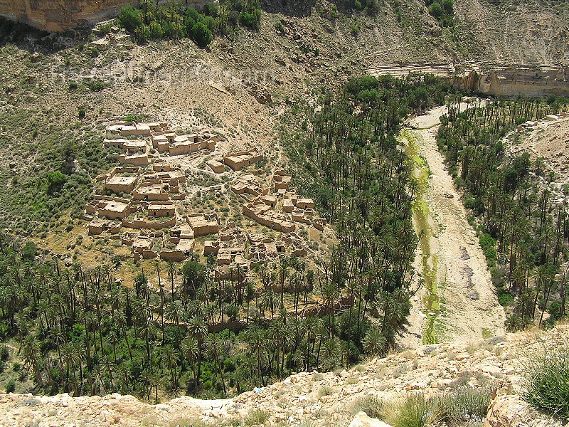 algeria130: Algeria / Algerie - Gorges de Tighanimine - El Abiod - Batna wilaya - Massif des Aurès - photo by J.Kaman - (c) Travel-Images.com - Stock Photography agency - Image Bank