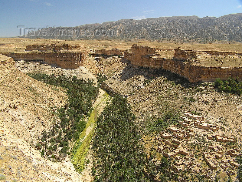 algeria132: Algeria / Algerie - Gorges de Tighanimine - Oued El Abiod - oasis - Batna wilaya - photo by J.Kaman - (c) Travel-Images.com - Stock Photography agency - Image Bank