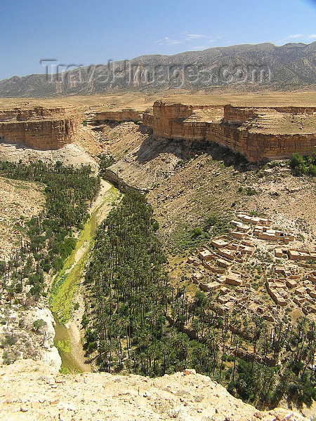 algeria133: Algeria / Algerie - Gorges de Tighanimine - El Abiod - Batna wilaya -  Massif des Aurès: houses on the slope - photo by J.Kaman - maisons sur la pente - (c) Travel-Images.com - Stock Photography agency - Image Bank