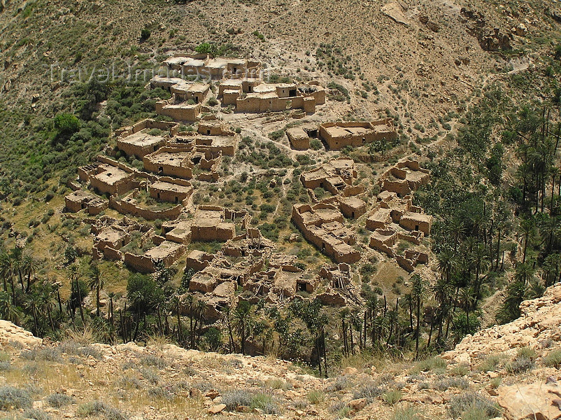 algeria134: Algeria / Algerie - Gorges de Tighanimine - El Abiod - Batna wilaya -  Massif des Aurès: village in the canyon - photo by J.Kaman - village dans la gorge - (c) Travel-Images.com - Stock Photography agency - Image Bank