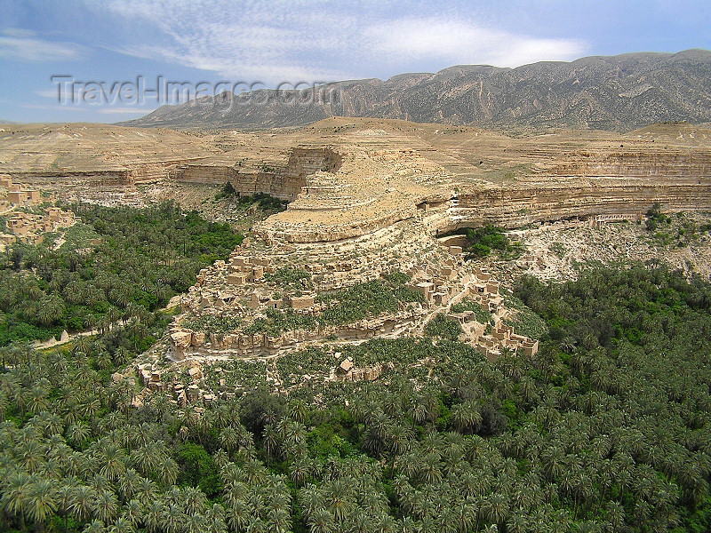 algeria138: Algeria / Algerie - Gorges de Tighanimine - El Abiod - Batna wilaya -  Massif des Aurès: river of palms - photo by J.Kaman - fleuve de palmiers - (c) Travel-Images.com - Stock Photography agency - Image Bank