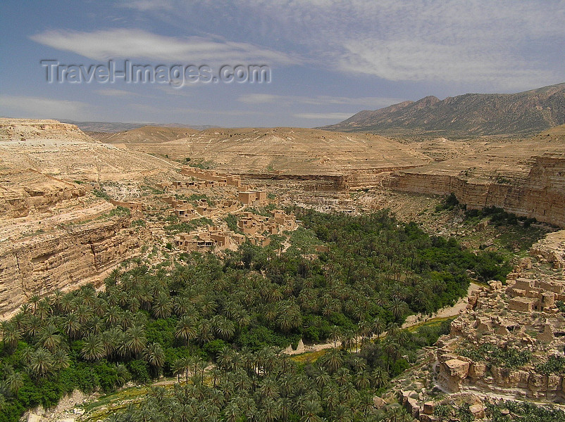 algeria139: Algeria / Algerie - Gorges de Tighanimine - El Abiod - Batna wilaya -  Massif des Aurès: oasis in the canyon - photo by J.Kaman - oasis dans la gorge - (c) Travel-Images.com - Stock Photography agency - Image Bank