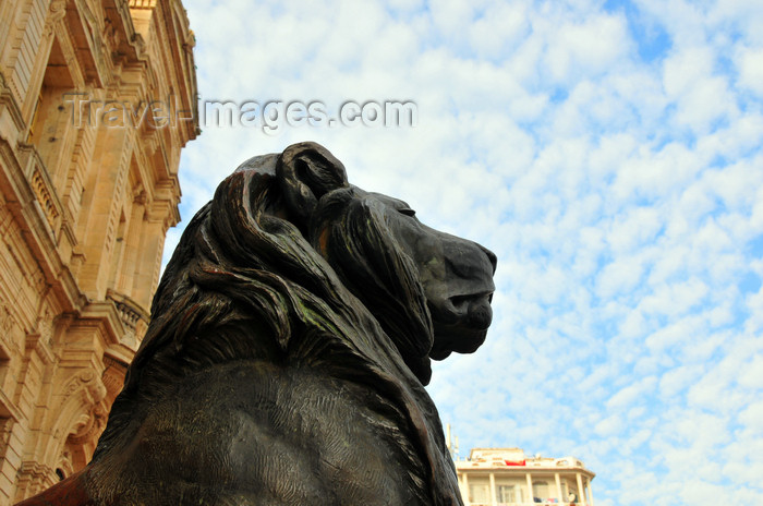 algeria230: Oran, Algeria / Algérie: lion at the City Hall, lion at the City Hall, 'Wahran' means 'two lions' in Arabic - Place du 1er Novembre - photo by M.Torres | lion a la Mairie d'Oran, Wahran, signifiant en arabe 'deux lions' - Hotel de Ville - Place du 1er Novembre 1954 - Place d'Armes - (c) Travel-Images.com - Stock Photography agency - Image Bank