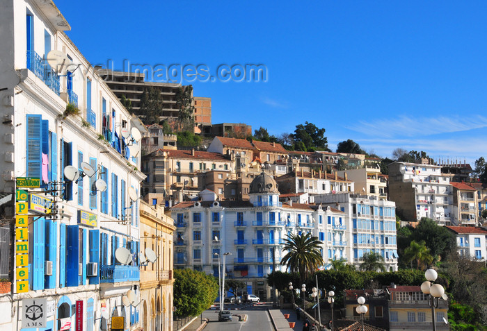 algeria308: Algeria / Algérie - Béjaïa / Bougie / Bgayet - Kabylie: Rue des Oliviers - view towards the Borge building | Rue des Oliviers - vue direction les immeubles Borge - Front de mer - photo by M.Torres - (c) Travel-Images.com - Stock Photography agency - Image Bank