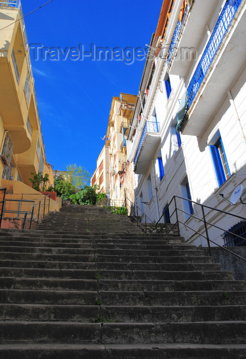algeria322: Algeria / Algérie - Béjaïa / Bougie / Bgayet - Kabylie: stairs in the kasbah | escaliers a la casbah - photo by M.Torres - (c) Travel-Images.com - Stock Photography agency - Image Bank