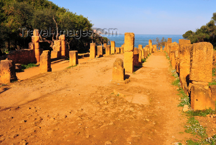 algeria387: Tipasa, Algeria / Algérie: the Cardo, with the Mediterranean sea at its northern end - Tipasa Roman ruins, Unesco World Heritage site | le Cardo, avec la mer Méditerranée, à son extrémité nord - ruines romaines de Tipasa, Patrimoine mondial de l'UNESCO - photo by M.Torres - (c) Travel-Images.com - Stock Photography agency - Image Bank