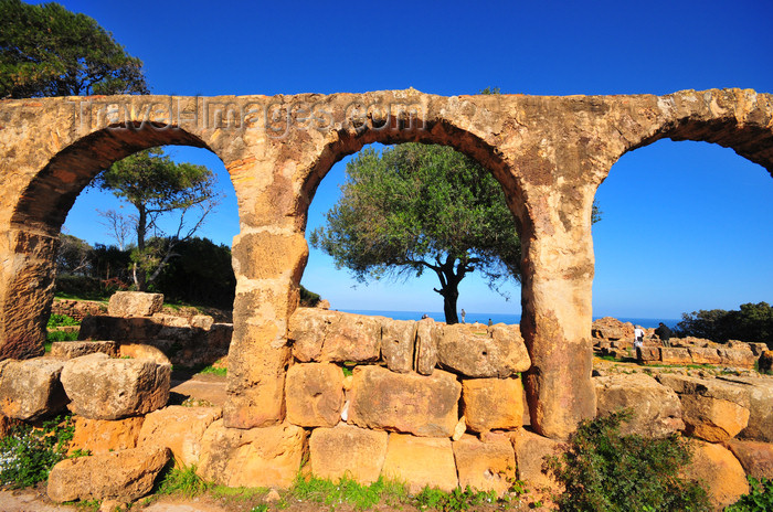 algeria395: Tipaza, Algeria / Algérie: arches - Great Christian Basilica - Tipasa Roman ruins, Unesco World Heritage site | arcade - Grande Basilique Chrétienne - ruines romaines de Tipasa, Patrimoine mondial de l'UNESCO - photo by M.Torres - (c) Travel-Images.com - Stock Photography agency - Image Bank