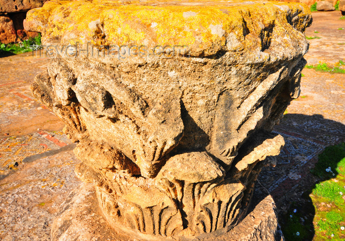 algeria396: Tipaza, Algeria / Algérie: Corinthian capital decorated with acanthus - Great Christian Basilica - Tipasa Roman ruins, Unesco World Heritage site | chapiteau corinthien décoré de feuilles d’acanthes - Grande Basilique Chrétienne - ruines romaines de Tipasa, Patrimoine mondial de l'UNESCO - photo by M.Torres - (c) Travel-Images.com - Stock Photography agency - Image Bank